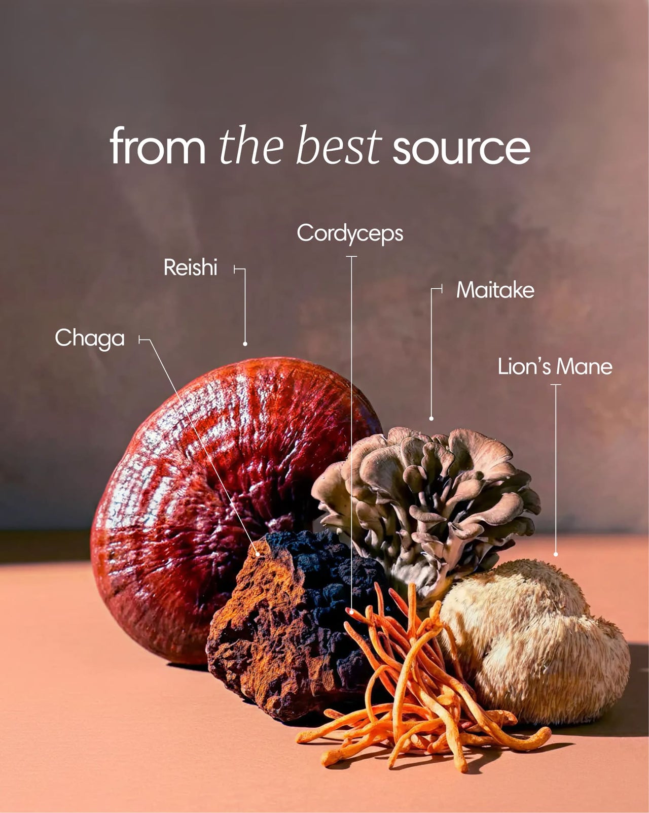  Clearly - Mushroom Mix