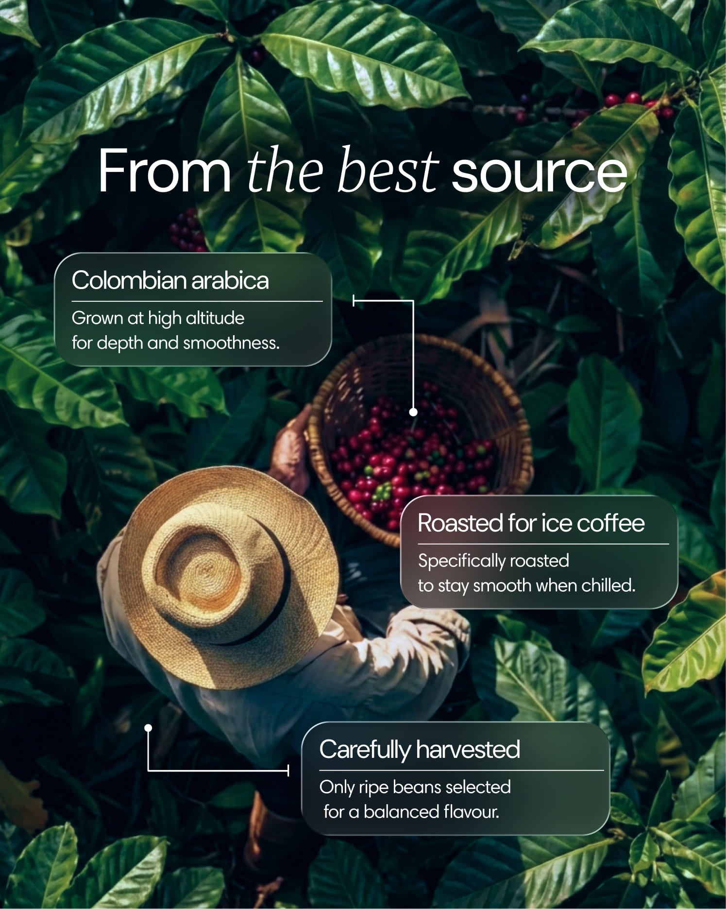  Clearly - Protein Iced Coffee