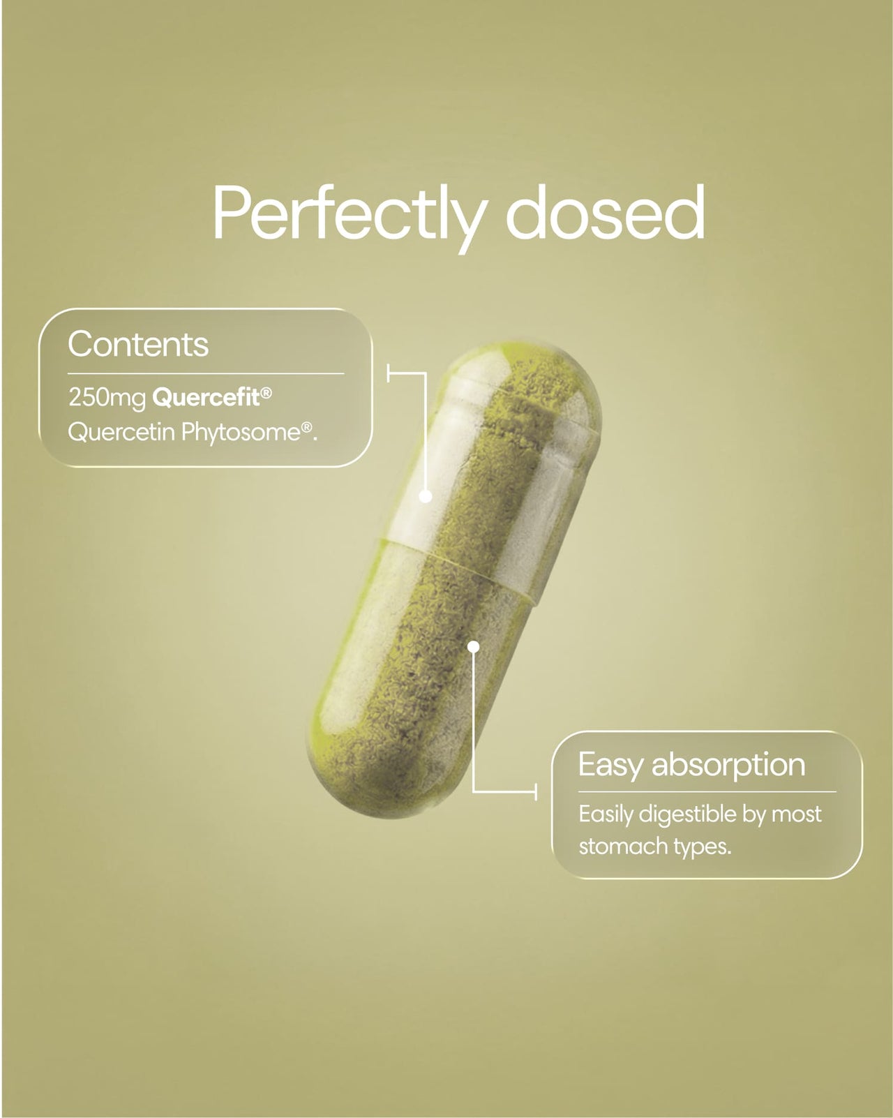 Clearly Quercetine capsules in a white bottle, showing the dietary supplement capsules designed for immune support and antioxidant benefits.