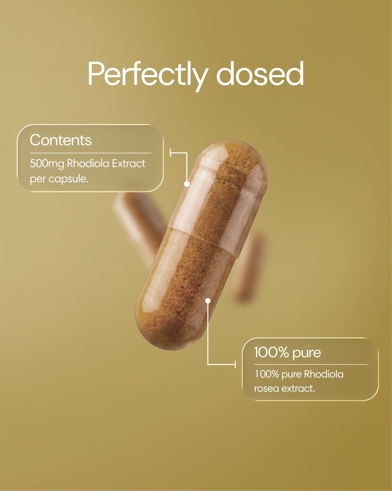 Clearly Rhodiola capsules in a blister pack, showing the herbal supplement in clear plastic packaging for natural energy support.